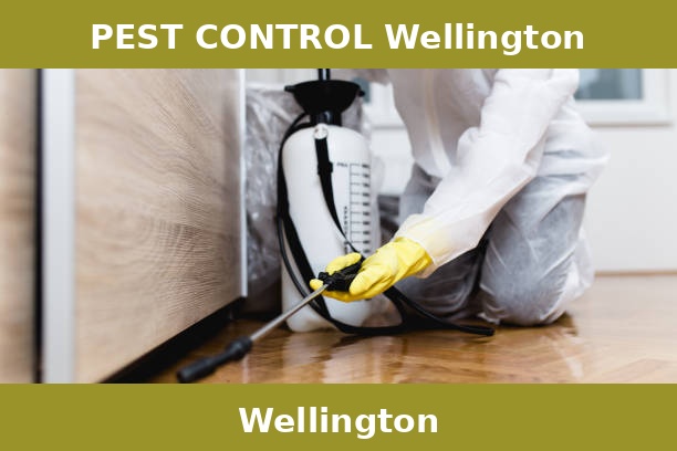 PEST CONTROL Wellington